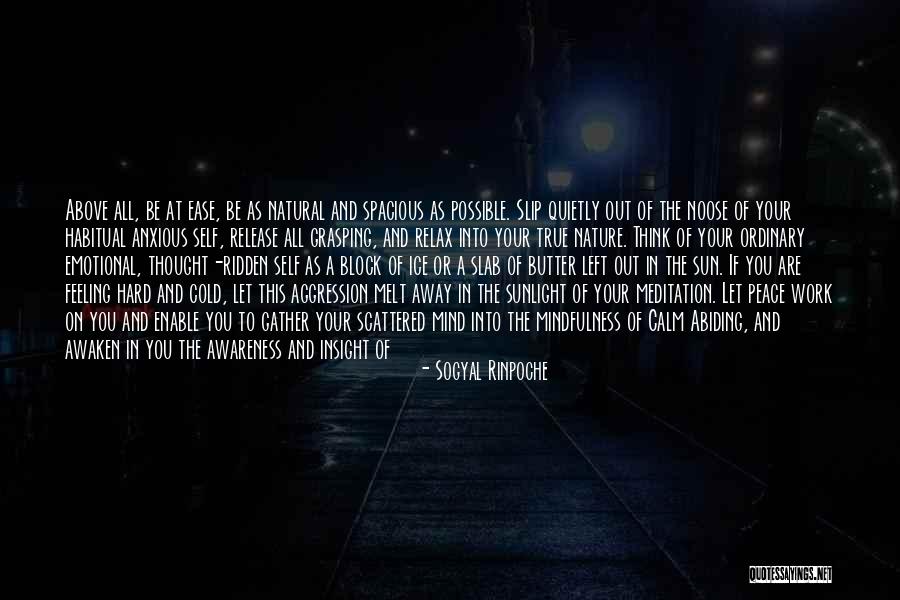 Ice Melt Quotes By Sogyal Rinpoche Ice Melt Quotes By Sogyal Rinpoche