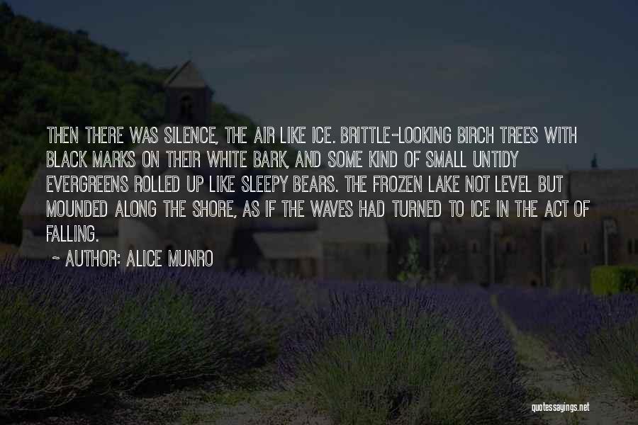 Ice On Trees Quotes By Alice Munro