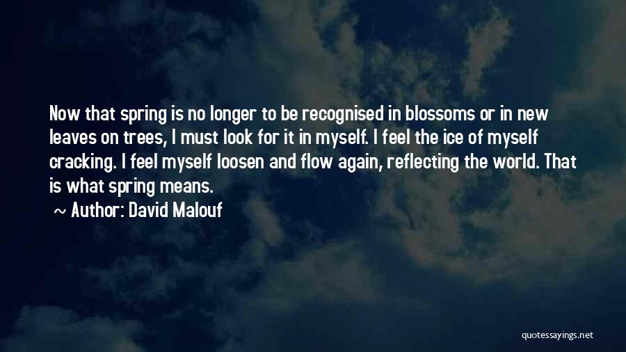 Ice On Trees Quotes By David Malouf