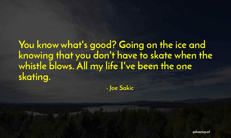 Ice Skating And Life Quotes By Joe Sakic Ice Skating And Life Quotes By Joe Sakic