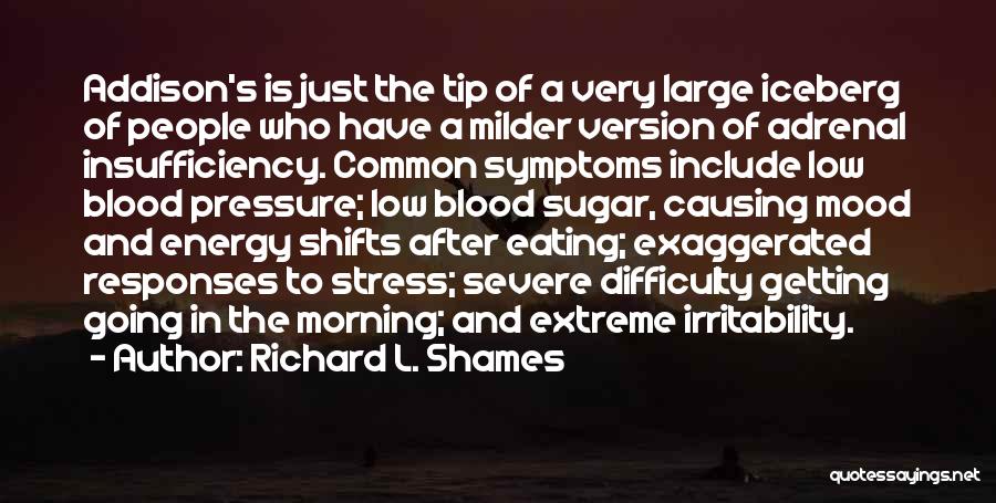 Iceberg Quotes By Richard L. Shames