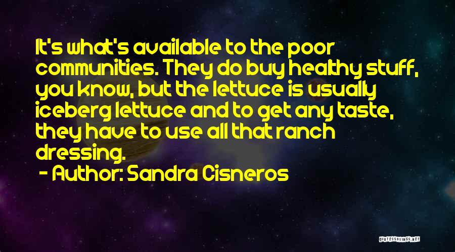 Iceberg Quotes By Sandra Cisneros