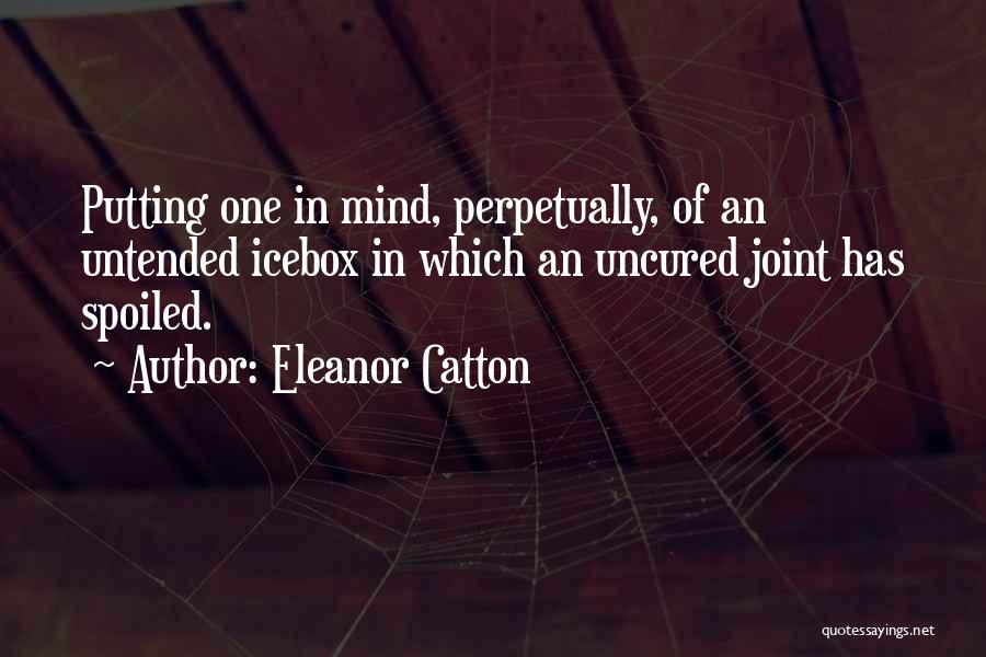 Icebox Quotes By Eleanor Catton