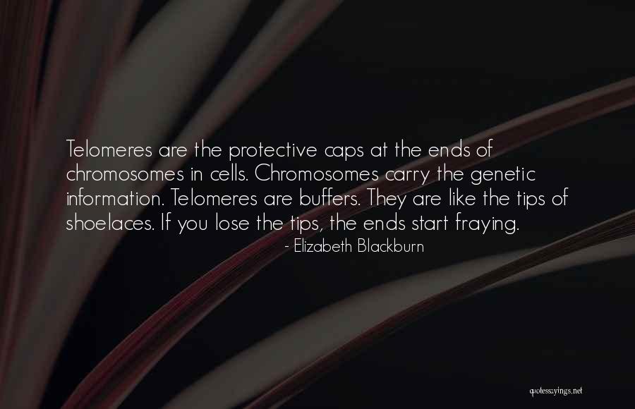 Iceless Electric Cooler Quotes By Elizabeth Blackburn Iceless Electric Cooler Quotes By Elizabeth Blackburn