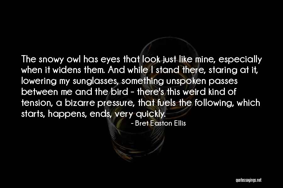 Icenogle Daniel Quotes By Bret Easton Ellis Icenogle Daniel Quotes By Bret Easton Ellis