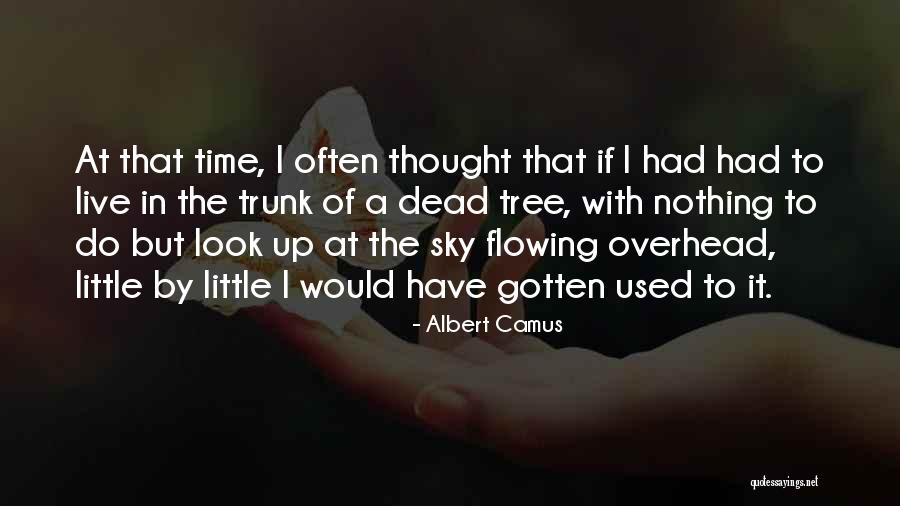 Icey Quotes By Albert Camus Icey Quotes By Albert Camus