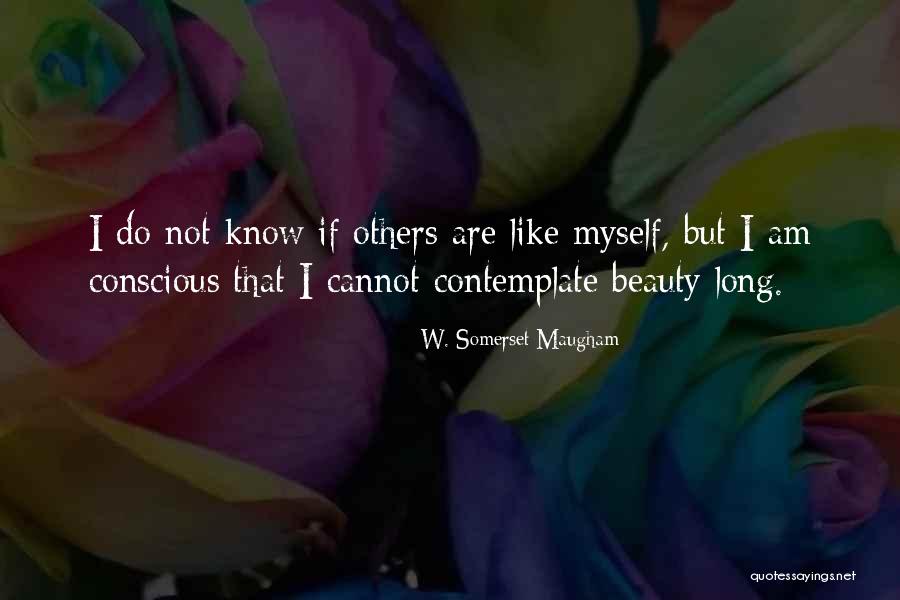 Ichikawa Ebizo Quotes By W. Somerset Maugham