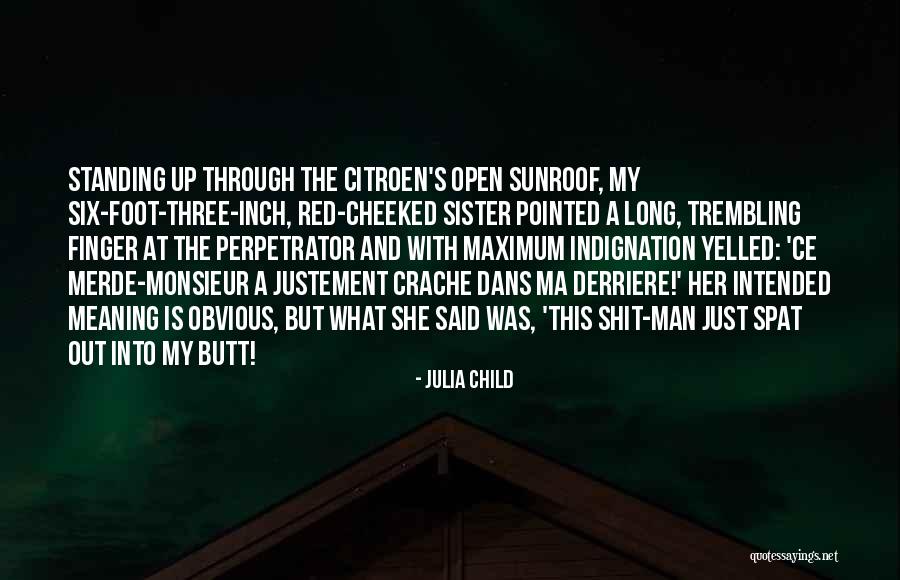 Ichinomiya Shingo Quotes By Julia Child Ichinomiya Shingo Quotes By Julia Child