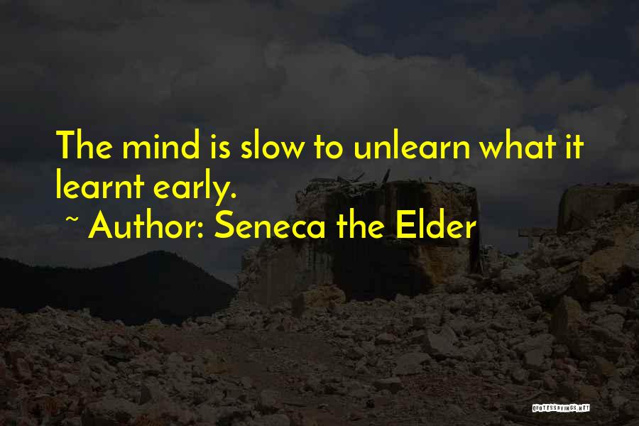 Ichor Holdings Quotes By Seneca The Elder