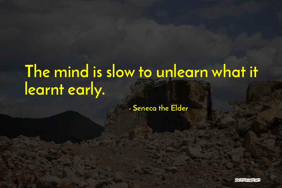 Ichor Holdings Quotes By Seneca The Elder