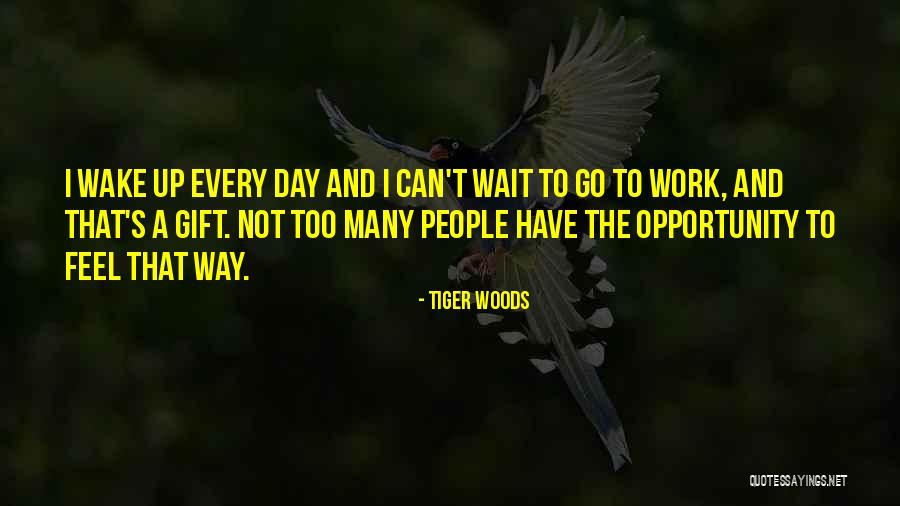 Ichristmaslight Quotes By Tiger Woods Ichristmaslight Quotes By Tiger Woods