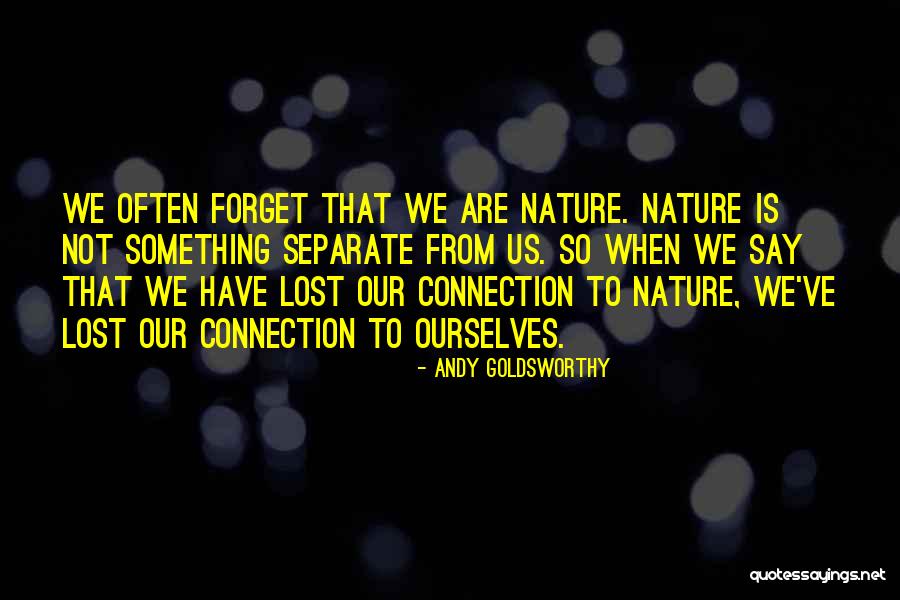 Ichtenberg Quotes By Andy Goldsworthy Ichtenberg Quotes By Andy Goldsworthy
