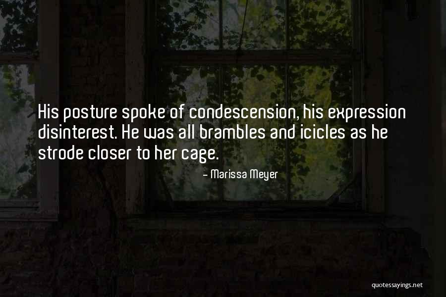 Icicles Quotes By Marissa Meyer Icicles Quotes By Marissa Meyer