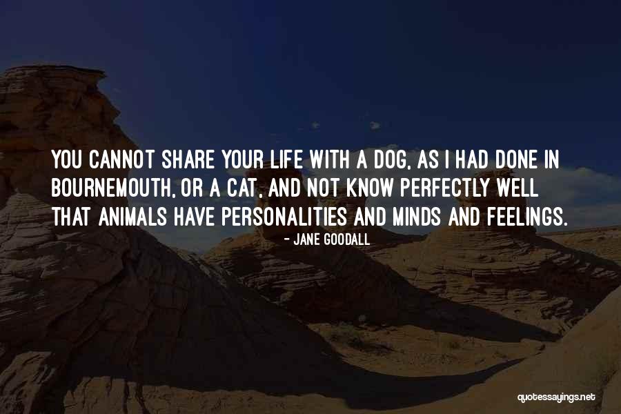 Icies Quotes By Jane Goodall Icies Quotes By Jane Goodall