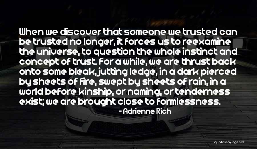 Iconoclasm Controversy Quotes By Adrienne Rich Iconoclasm Controversy Quotes By Adrienne Rich
