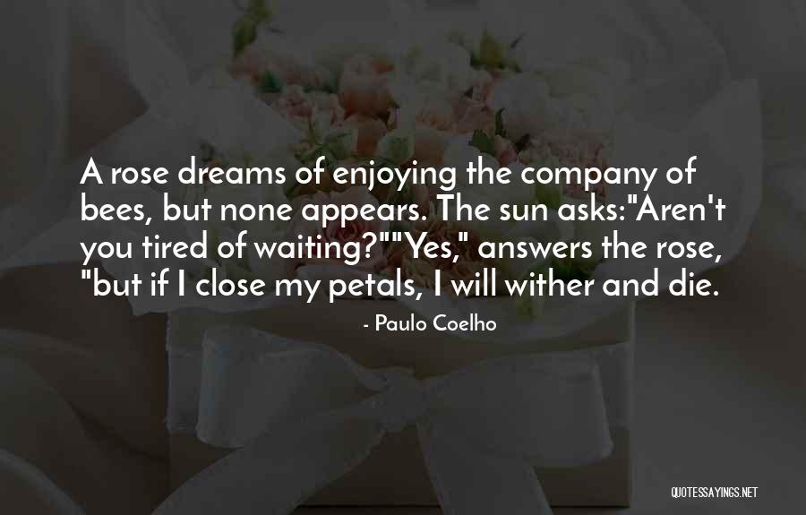 Icraya Dilek E Quotes By Paulo Coelho Icraya Dilek E Quotes By Paulo Coelho