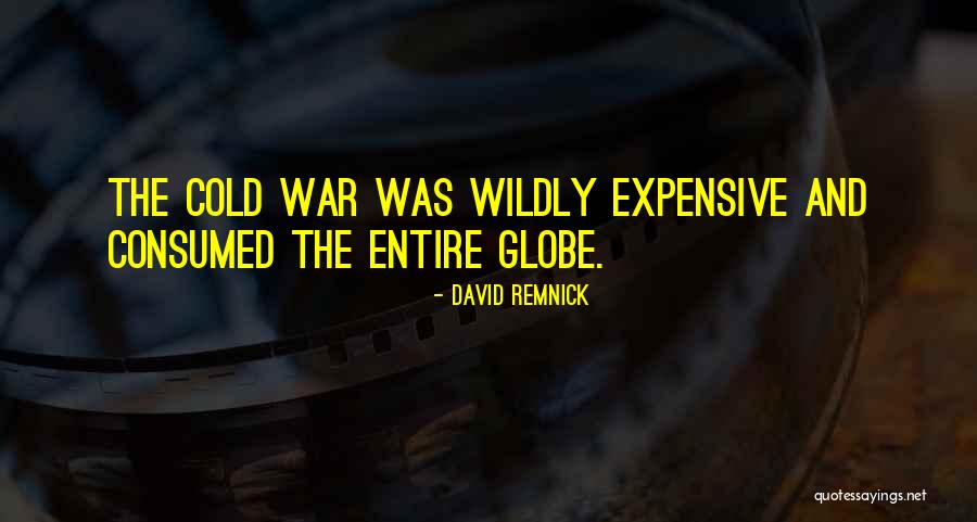 Icumen Wasp Quotes By David Remnick Icumen Wasp Quotes By David Remnick