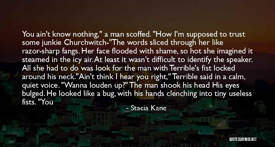 Icy Hot Quotes By Stacia Kane Icy Hot Quotes By Stacia Kane