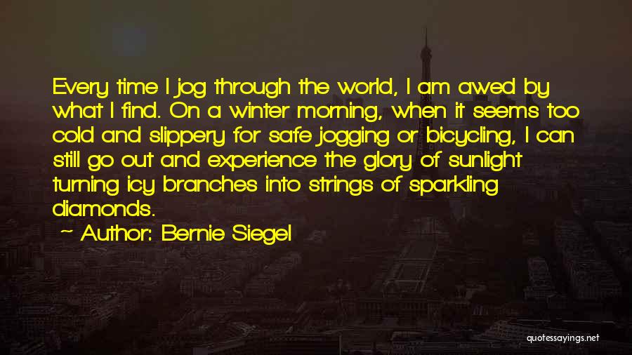 Icy Morning Quotes By Bernie Siegel