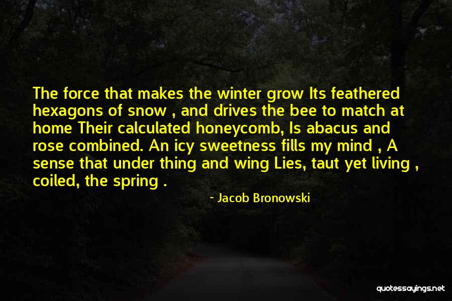 Icy Snow Quotes By Jacob Bronowski Icy Snow Quotes By Jacob Bronowski