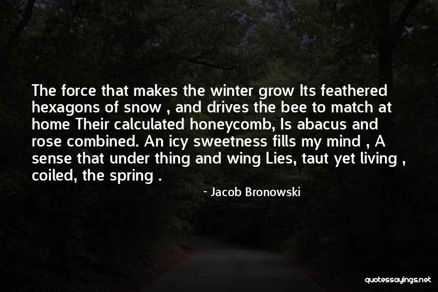 Icy Winter Quotes By Jacob Bronowski