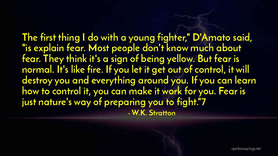 I'd Fight For You Quotes By W.K. Stratton