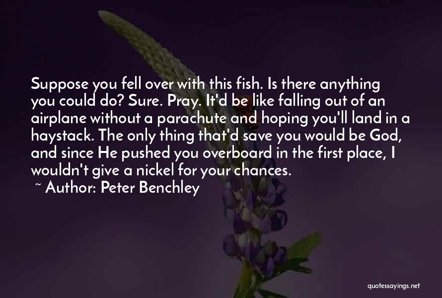 I'd Give Anything For You Quotes By Peter Benchley