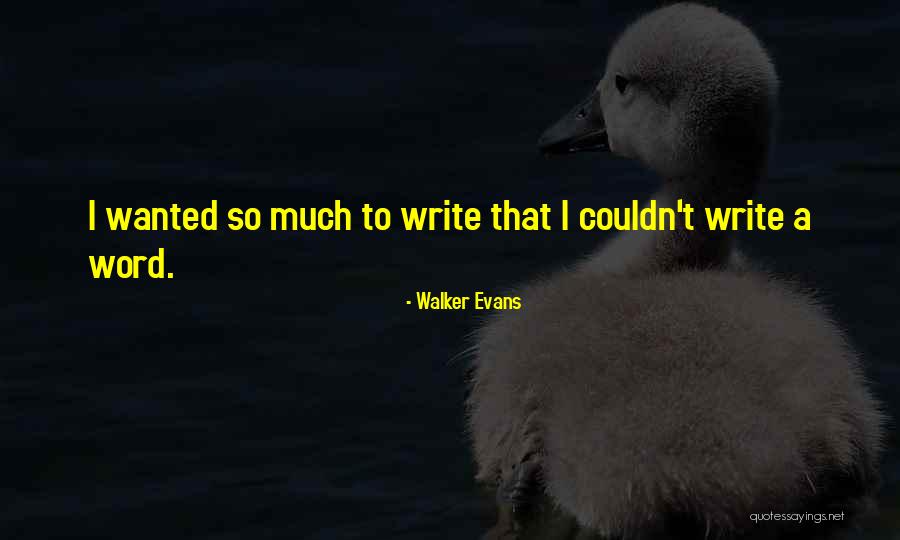 Idalina Duarte Quotes By Walker Evans Idalina Duarte Quotes By Walker Evans