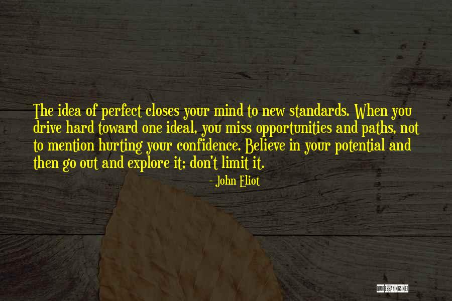 Idea And Ideal Quotes By John Eliot Idea And Ideal Quotes By John Eliot