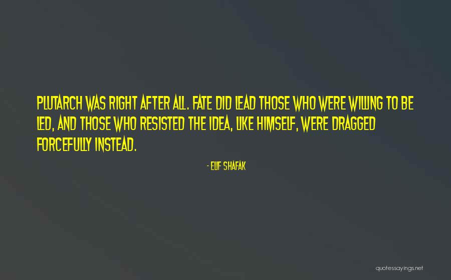 Idea Led Quotes By Elif Shafak Idea Led Quotes By Elif Shafak