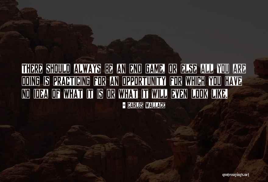 Idea Management Quotes By Carlos Wallace Idea Management Quotes By Carlos Wallace