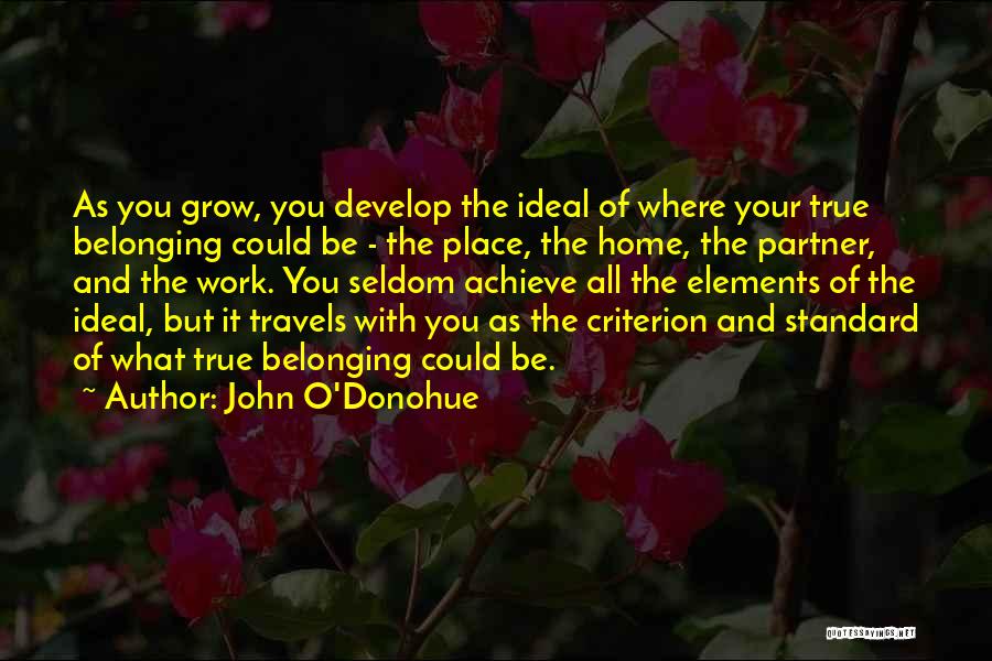 Ideal Partner Quotes By John O'Donohue