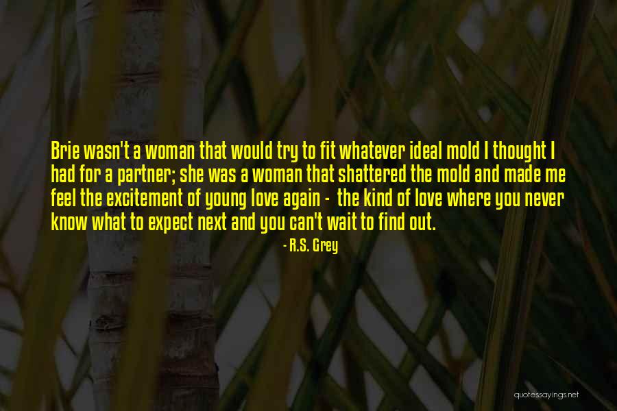 Ideal Partner Quotes By R.S. Grey