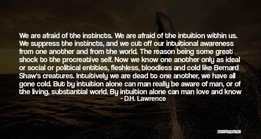 Ideal Self Quotes By D.H. Lawrence