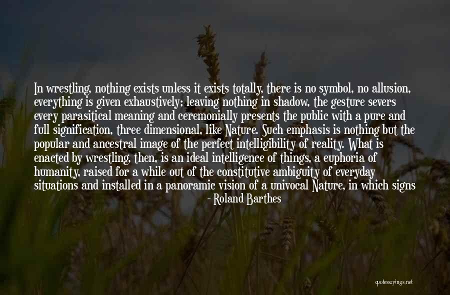 Ideal Situations Quotes By Roland Barthes Ideal Situations Quotes By Roland Barthes