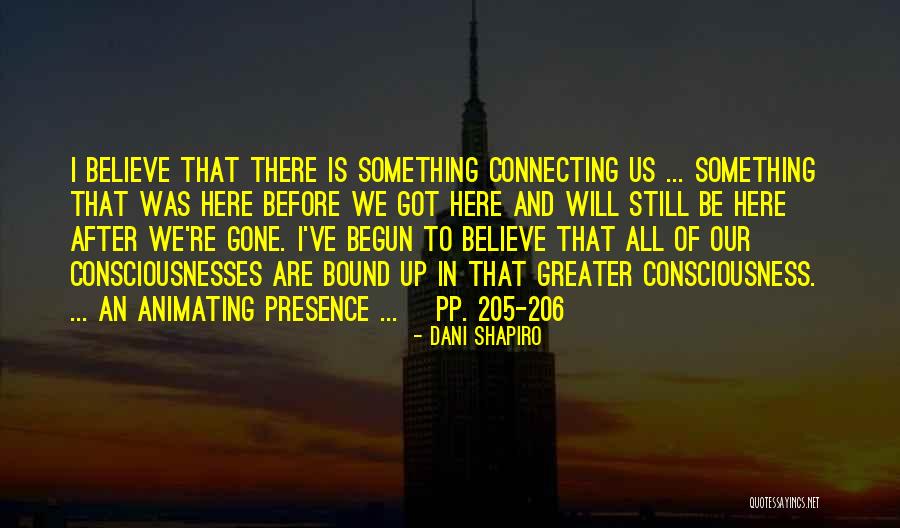 Idealen Synoniem Quotes By Dani Shapiro Idealen Synoniem Quotes By Dani Shapiro