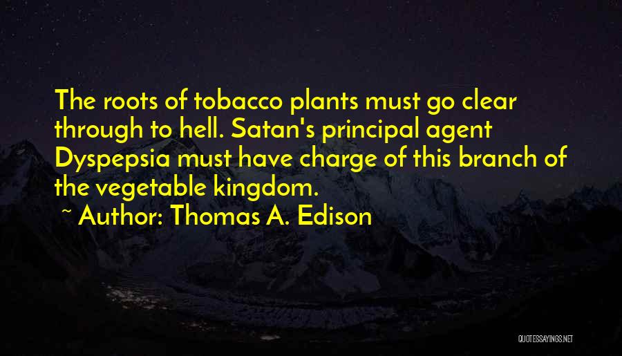Ideales En Quotes By Thomas A. Edison