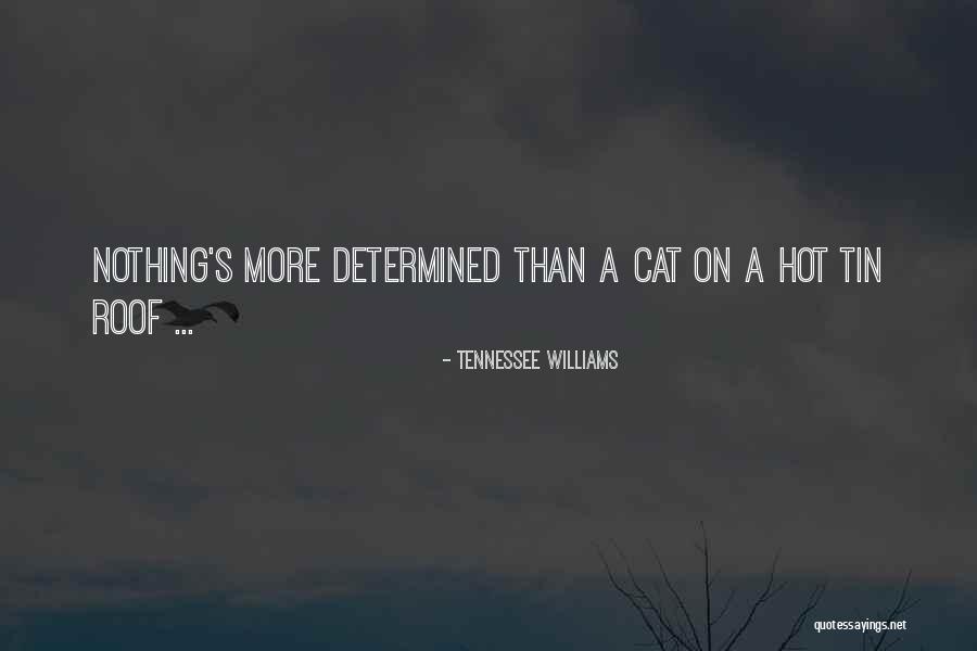 Idealismo Quotes By Tennessee Williams Idealismo Quotes By Tennessee Williams