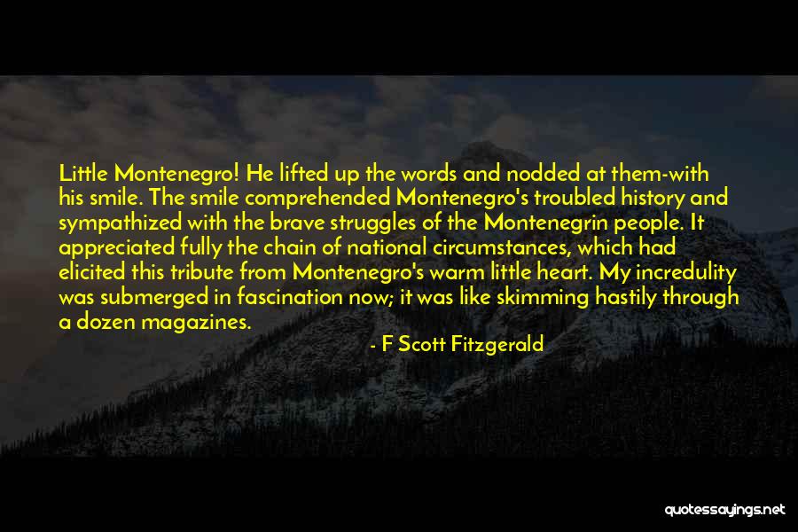 Ideality Communications Quotes By F Scott Fitzgerald