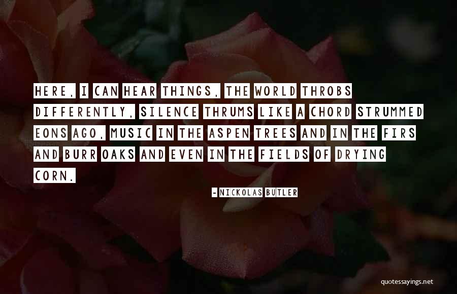Idealizace Quotes By Nickolas Butler Idealizace Quotes By Nickolas Butler