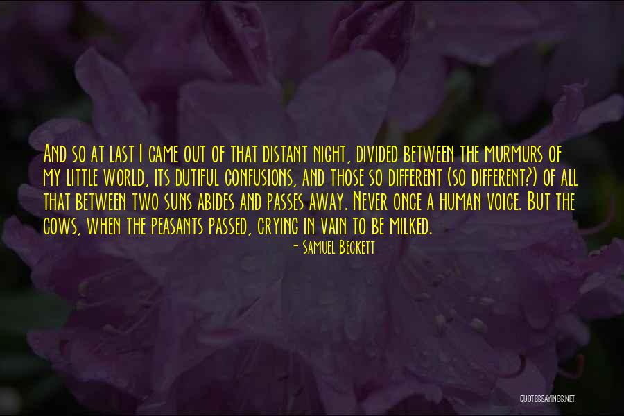 Idealizace Quotes By Samuel Beckett Idealizace Quotes By Samuel Beckett