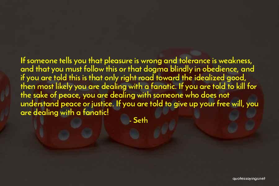 Idealized Quotes By Seth Idealized Quotes By Seth