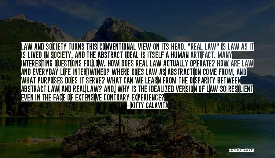 Idealized Self Quotes By Kitty Calavita Idealized Self Quotes By Kitty Calavita