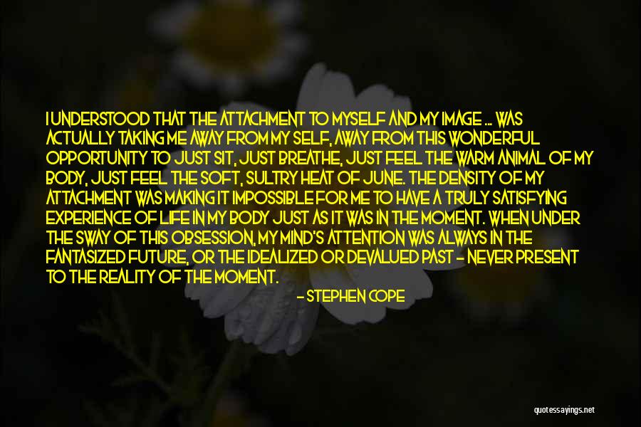 Idealized Self Quotes By Stephen Cope Idealized Self Quotes By Stephen Cope