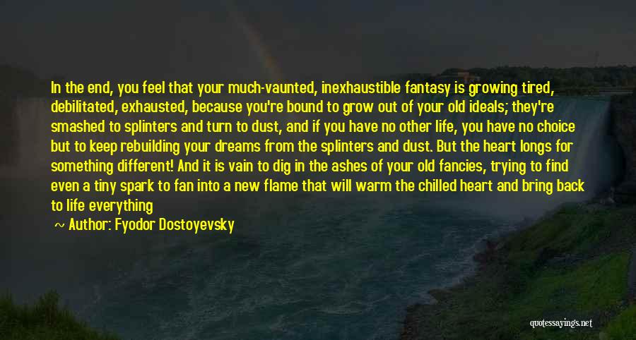 Ideals In Life Quotes By Fyodor Dostoyevsky
