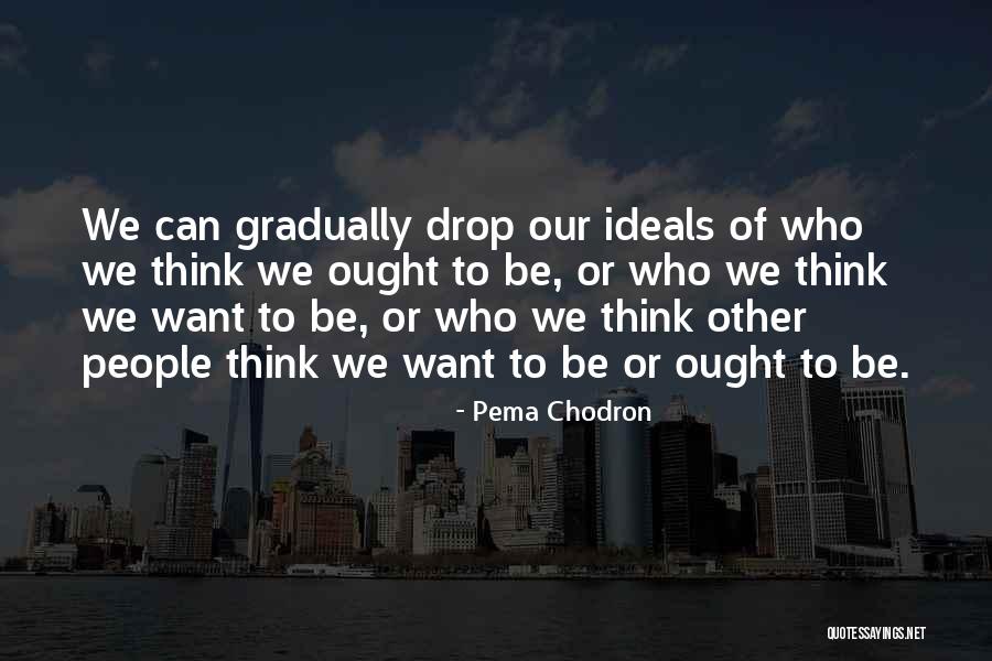 Ideals Quotes By Pema Chodron