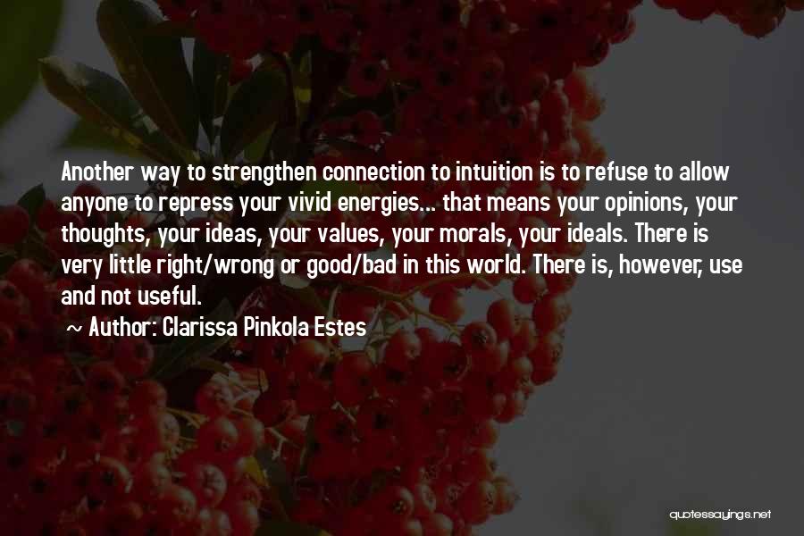 Ideas And Opinions Quotes By Clarissa Pinkola Estes