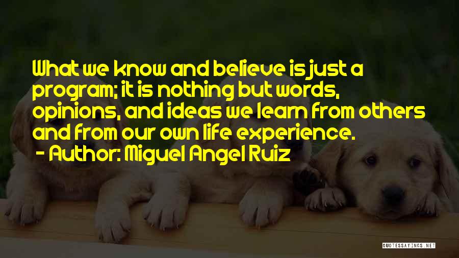 Ideas And Opinions Quotes By Miguel Angel Ruiz