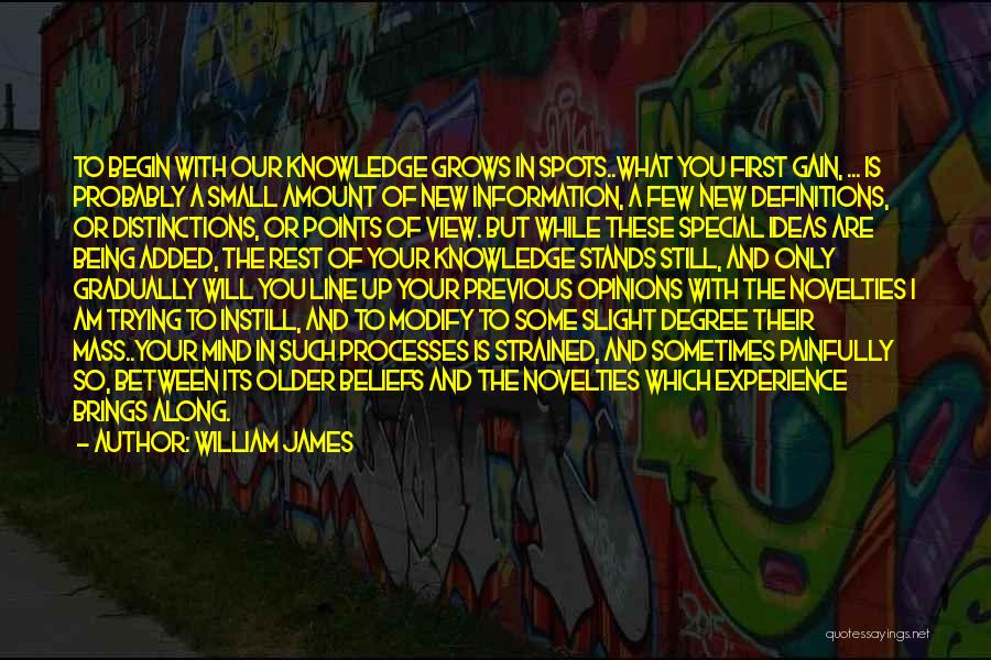 Ideas And Opinions Quotes By William James