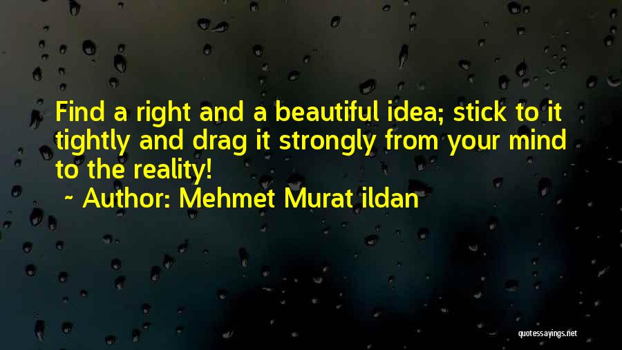 Ideas And Reality Quotes By Mehmet Murat Ildan